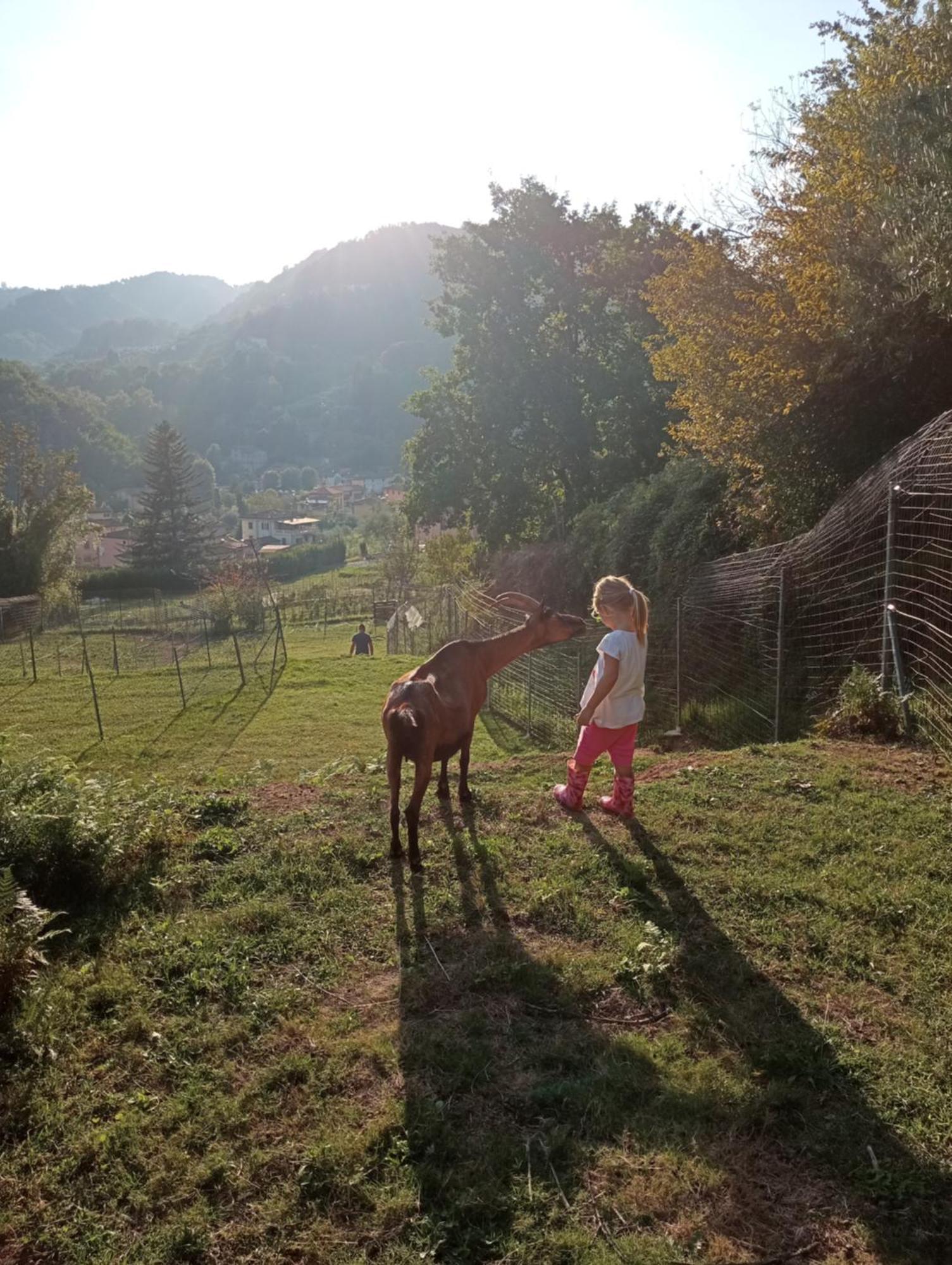 La Finestra Sulla Valle Valdottavo Exterior foto